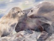 A painting of two sea lions on a rock.