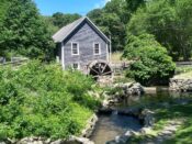 A small house with a water wheel in the middle of a wooded area.