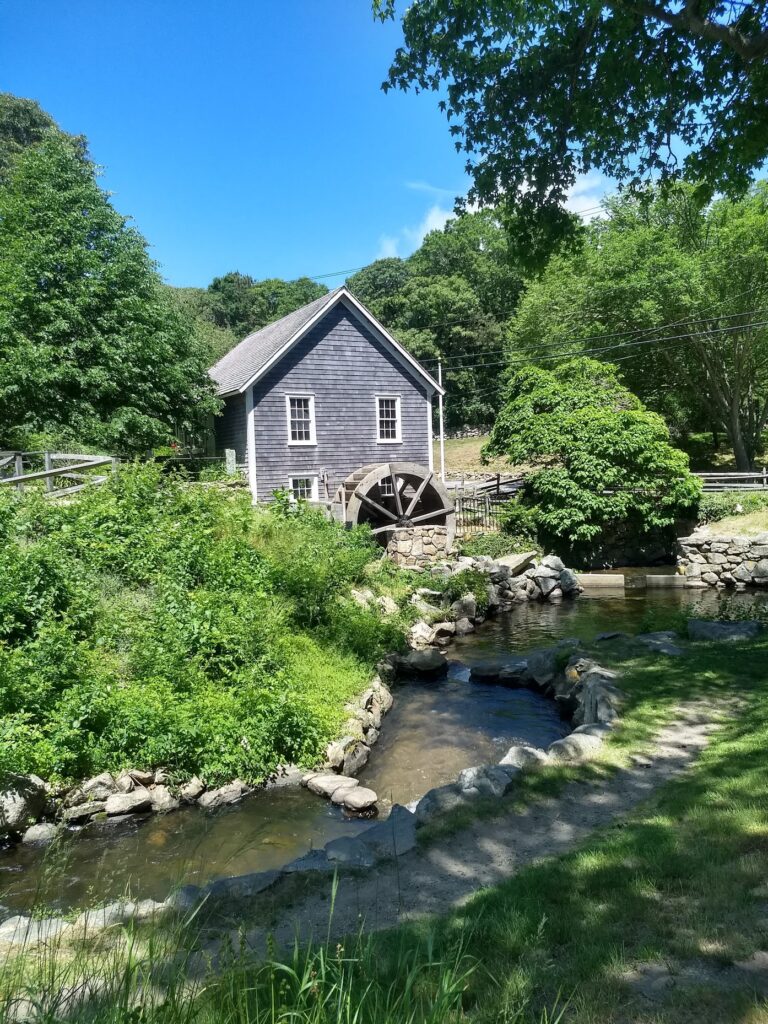 A small house with a water wheel in the middle of a wooded area.