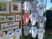 A display of t - shirts and framed pictures.